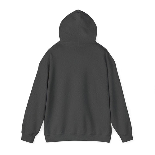Big Three Unisex Heavy Blend™ Hooded Sweatshirt