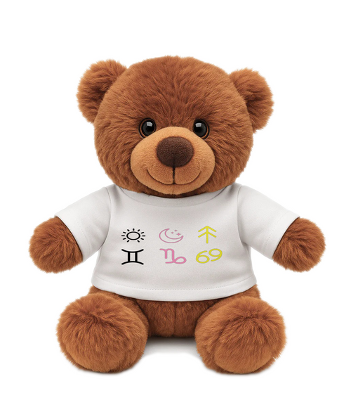Brown Personalised Teddy Bear – Zodiac or City Design